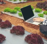 avances-modernos-sector-agricola