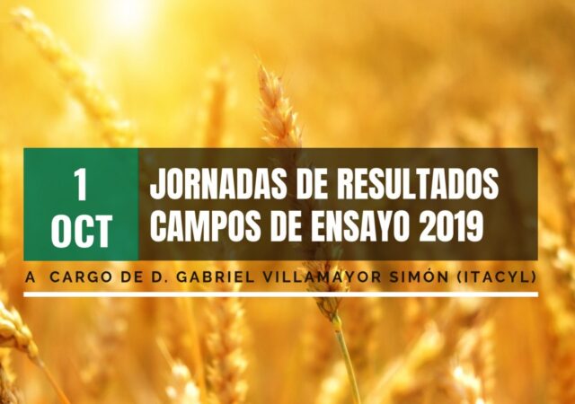 resultados campos ensayo