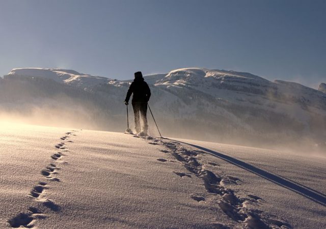 marcha nordica
