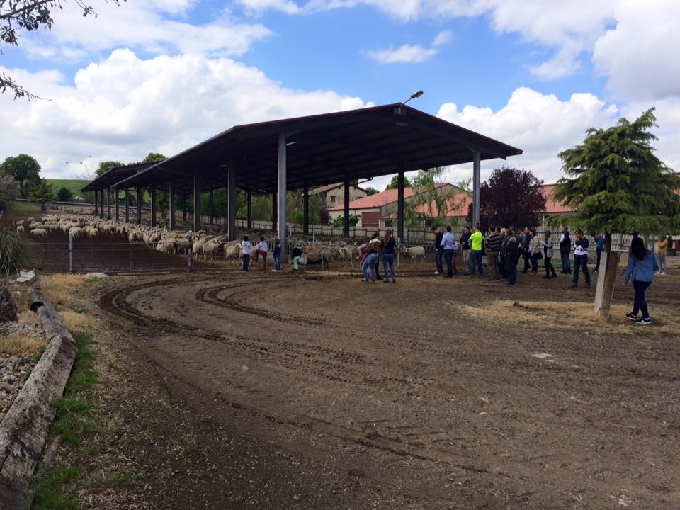 13254208_1030848873672743_2705632983574988979_n