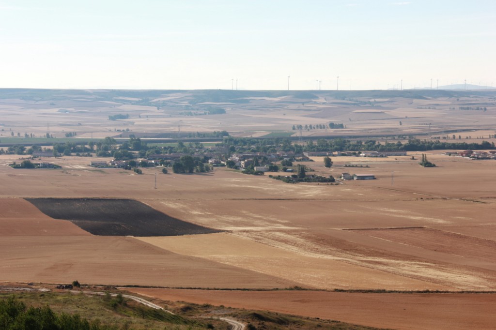 El sector agrario burgalés depende de lo que ocurra en el mundo