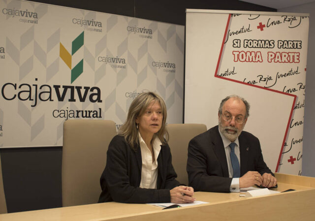 proyecto infancia hospitalizada