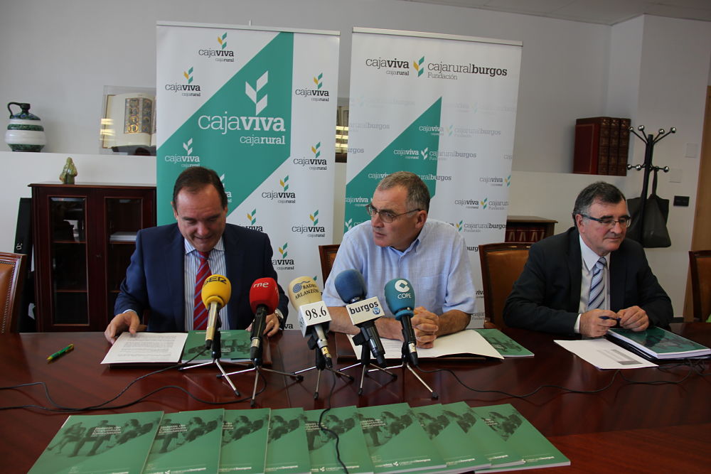 boletin de coyuntura de junio 2017