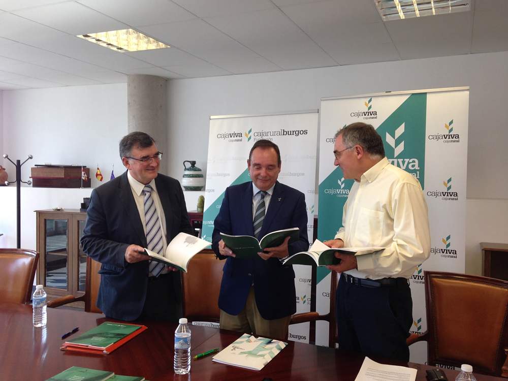 boletín de coyuntura