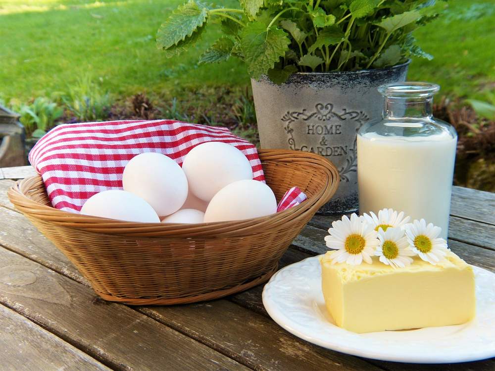consumo de lácteos huevos y leche