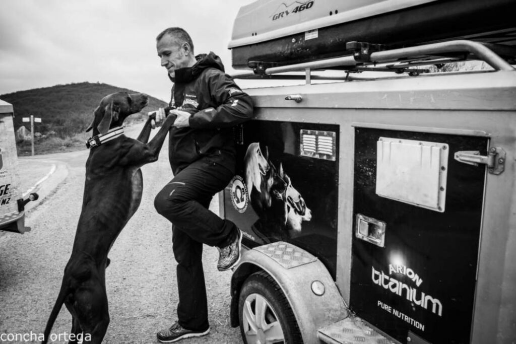 Javier del Canto, mushing