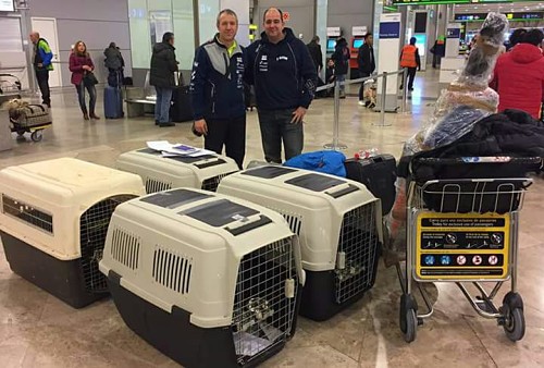 el musher Javier del Canto en el aeropuerto Barajas