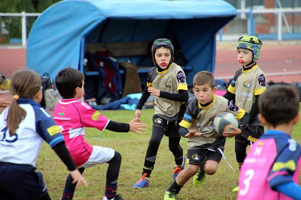 escuela de rugby aparejadores