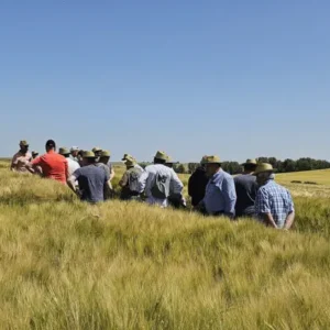 campos-de-ensayo-burgos