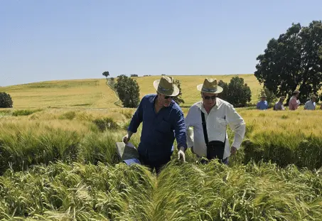 campos de ensayo Zael 2025
