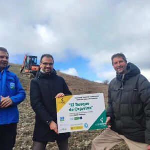 propósitos de año nuevo burgaleses bosque cajaviva