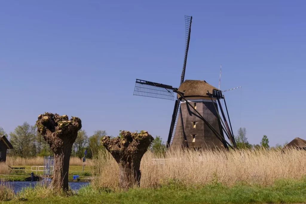usos sostenible del agua Países Bajos