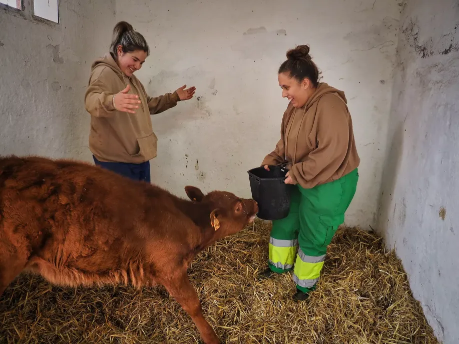 CIFP Príncipe Felipe Escuela Albillos