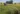 Campos de Ensayo junio 2025