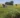 Campos de Ensayo junio 2025