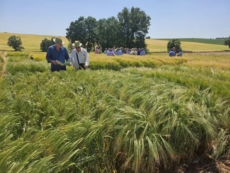 Campos de Ensayo junio 2025