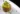 alimentos tendencia tartar aguacate