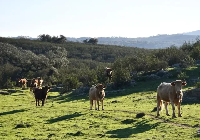 unir-agricultura-y-ganaderia