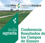 resultados-campos-de-ensayo-octubre