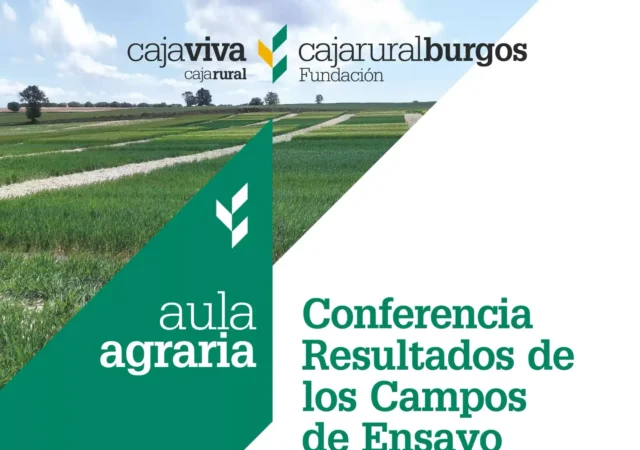 resultados-campos-de-ensayo-octubre