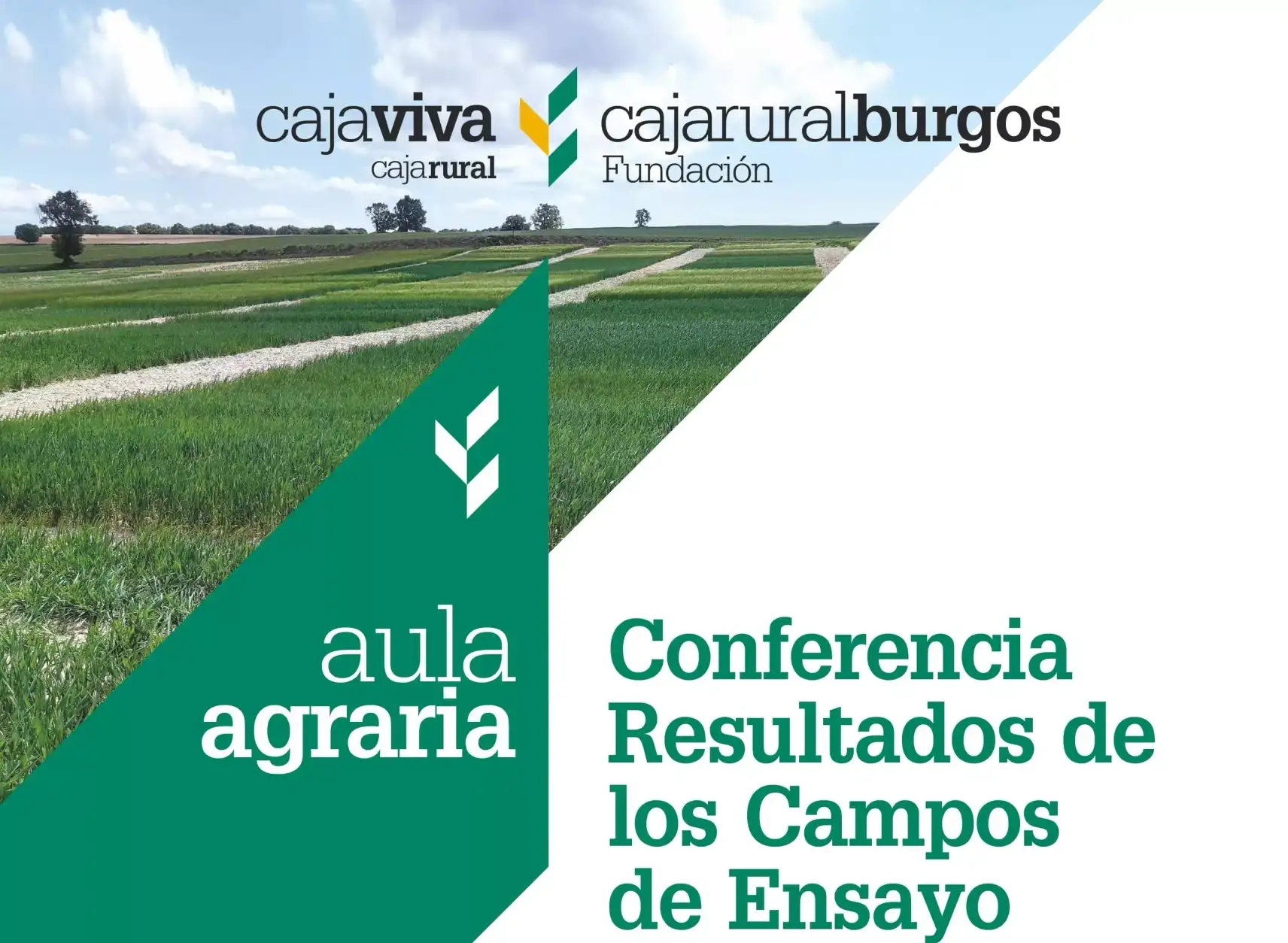 resultados-campos-de-ensayo-octubre