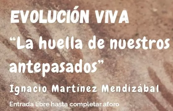 evolucion-viva-burgos