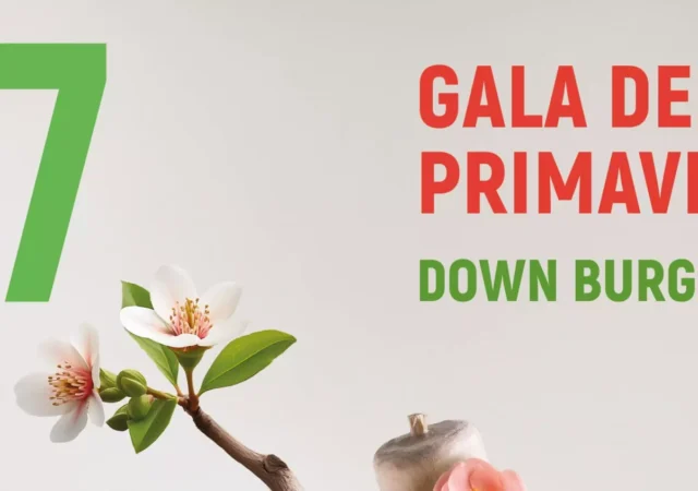 gala-down-burgos-2026